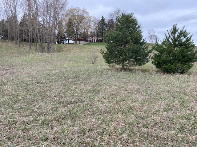 V/l Clous Road Kingsley, MI 49649 - Photo 14 of 17