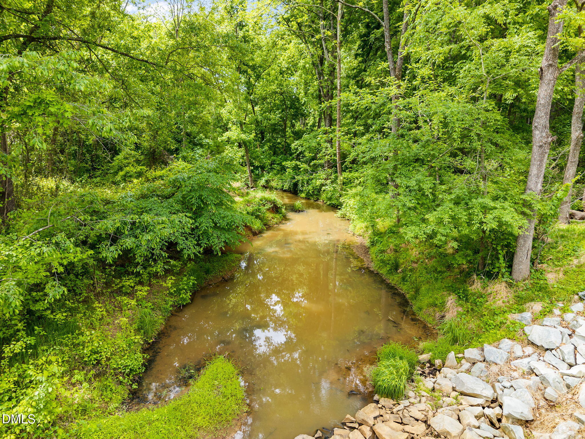 423 Quail Roost Farm Road Rougemont, NC 27572 - Photo 11 of 44 a view of a yard