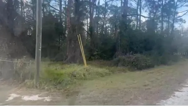 $16,000 | 311 Wilson Lane Northeast, Lake Placid, FL 33852