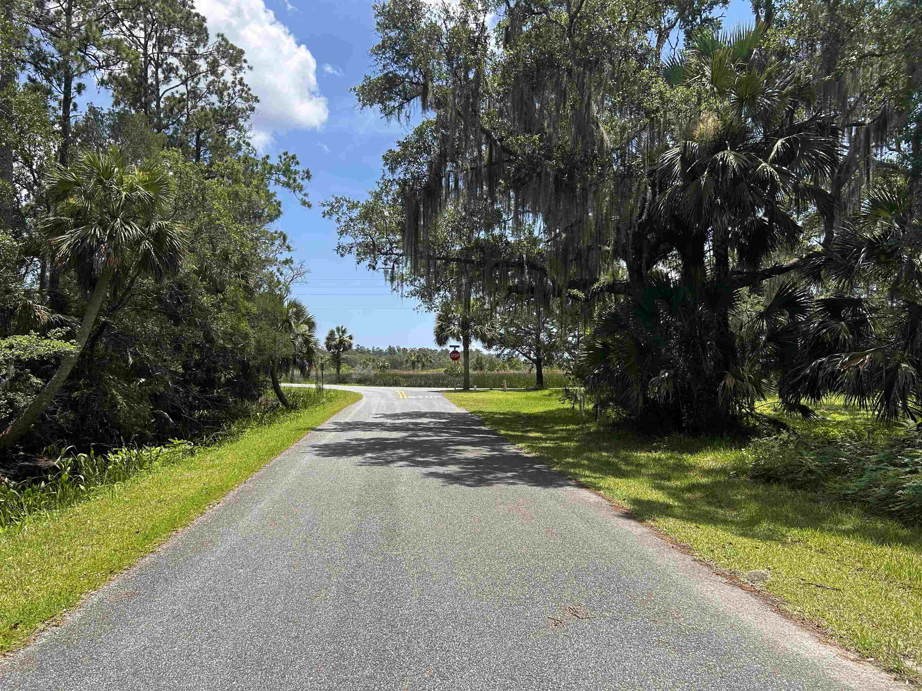 X Union Street St. Marks, FL 32355 - Photo 4 of 5