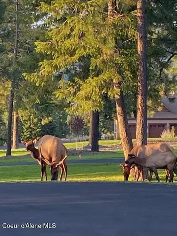 $4,250,000 | 3857 East Beckon Ridge Road, Coeur D'Alene, ID 83814