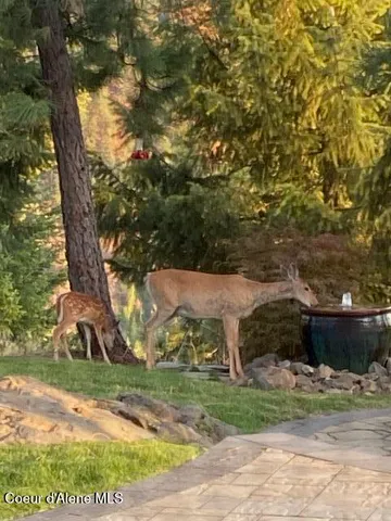 $4,250,000 | 3857 East Beckon Ridge Road, Coeur D'Alene, ID 83814