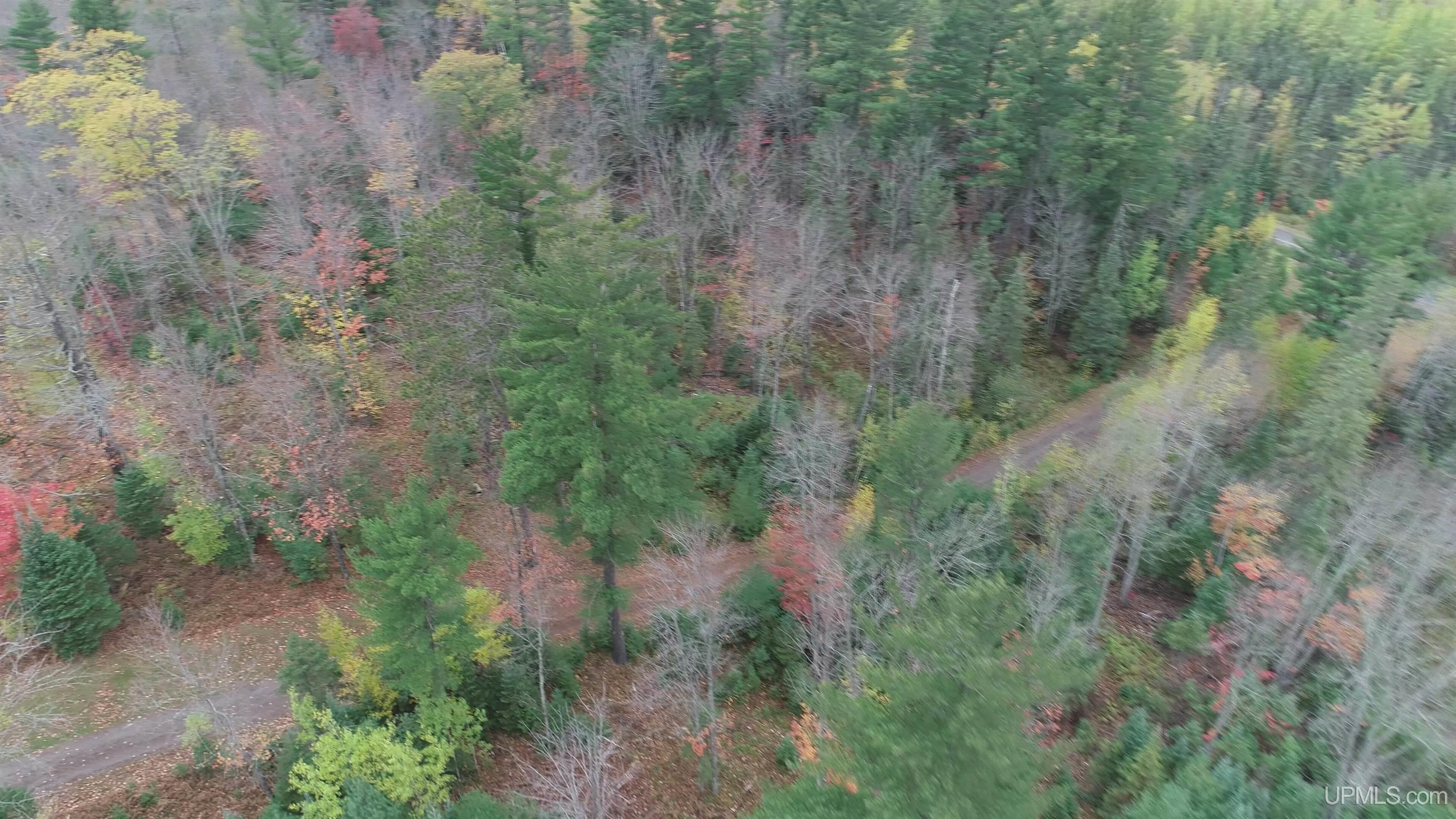 24380 Co Road Ishpeming, MI 49849 - Photo 83 of 92