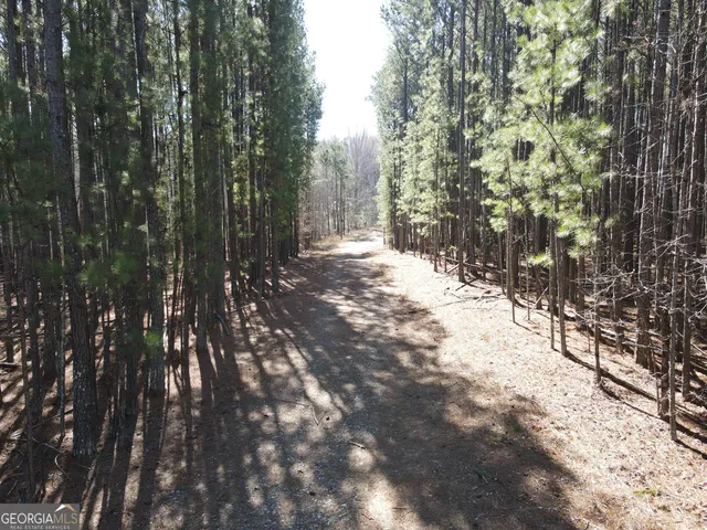 a view of a yard with trees in the background