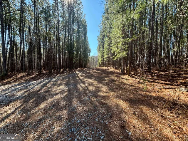 a view of dirt yard with a large tree