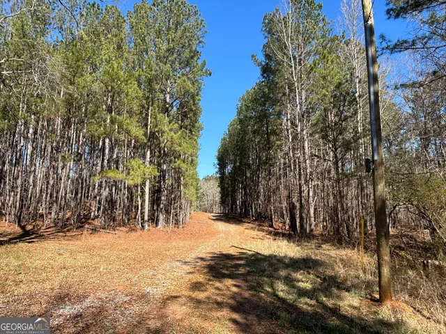 a view of a yard with plants and trees