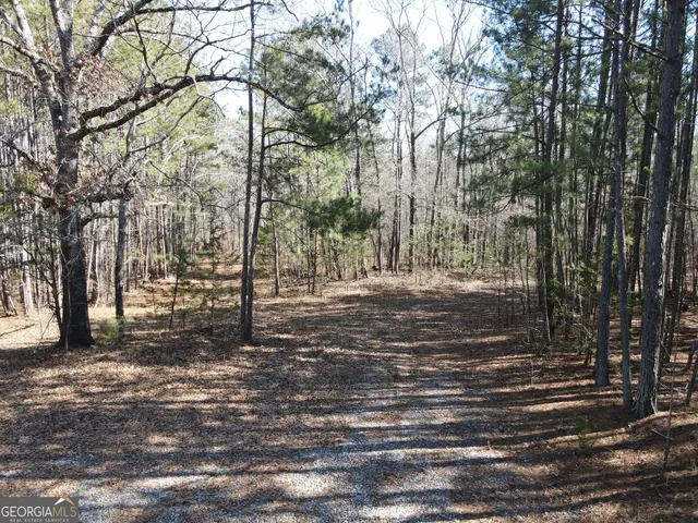 a view of a yard with trees