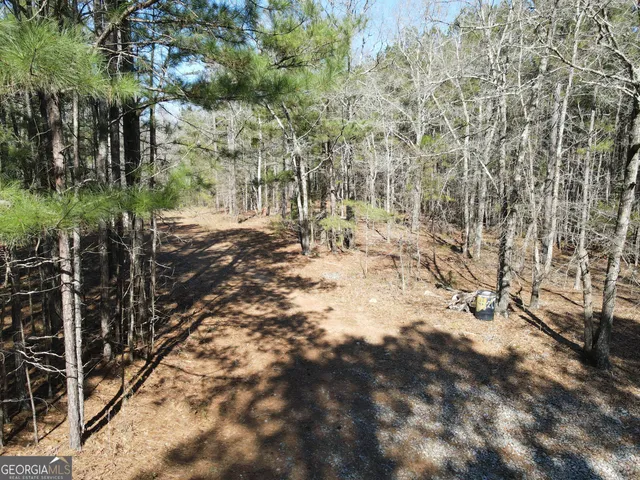 a house view with backyard space