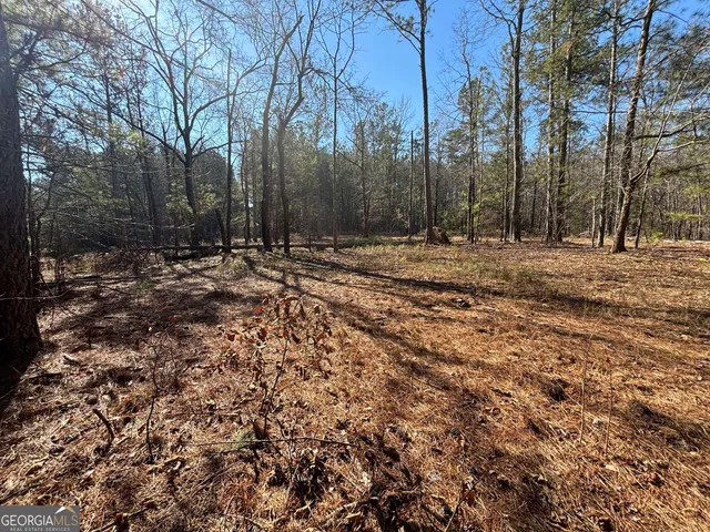 a view of a yard with large trees