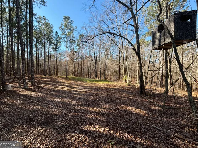 a view of a backyard with of the trees