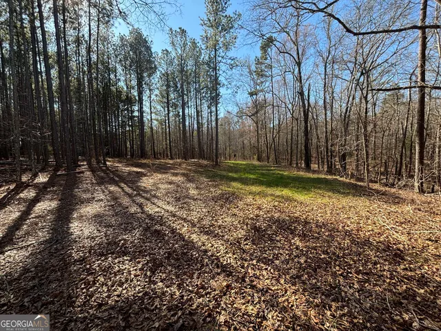 a view of a yard with large trees