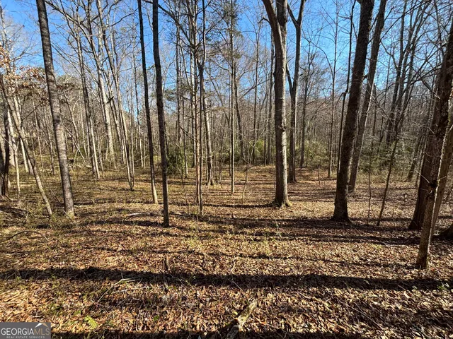 a view of a backyard of the house