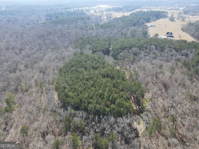 a view of a dry field with trees in the background