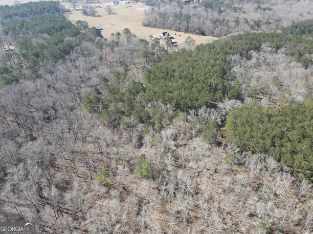 a view of a field of grass and trees