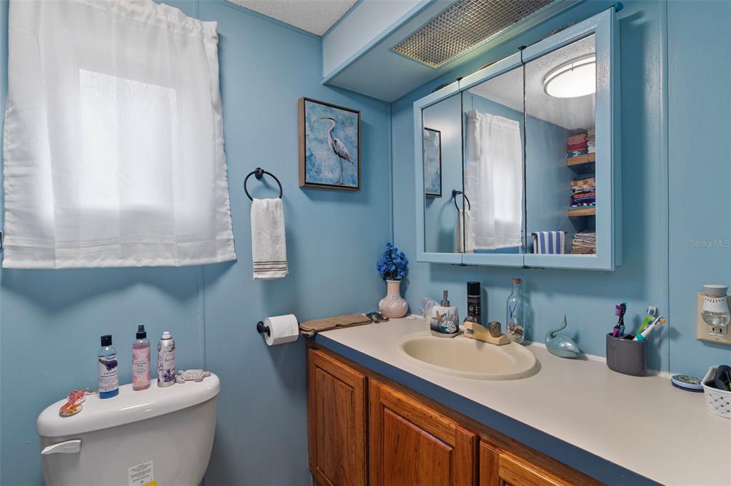 1381 Southeast Lake Road Arcadia, FL 34266 - Photo 7 of 21 a bathroom with a sink toilet and a mirror