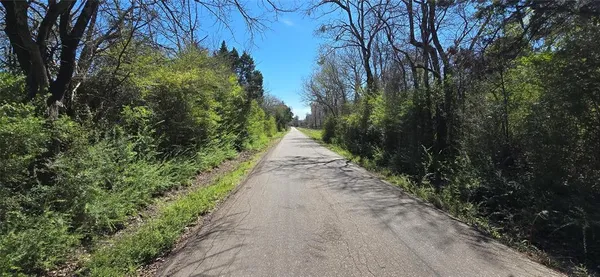 a view of a pathway both side of yard