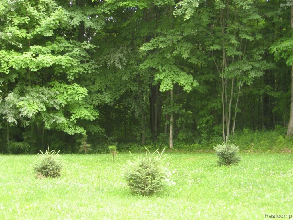 4819 Davison Road Lapeer, MI 48446 - Photo 9 of 66 IMG_5289.jpg