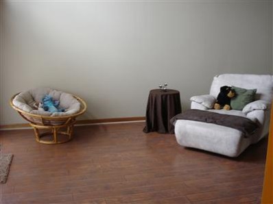 9344 Van Buren Street Crown Point, IN 46307 - Photo 3 of 10 a living room with furniture and a chair
