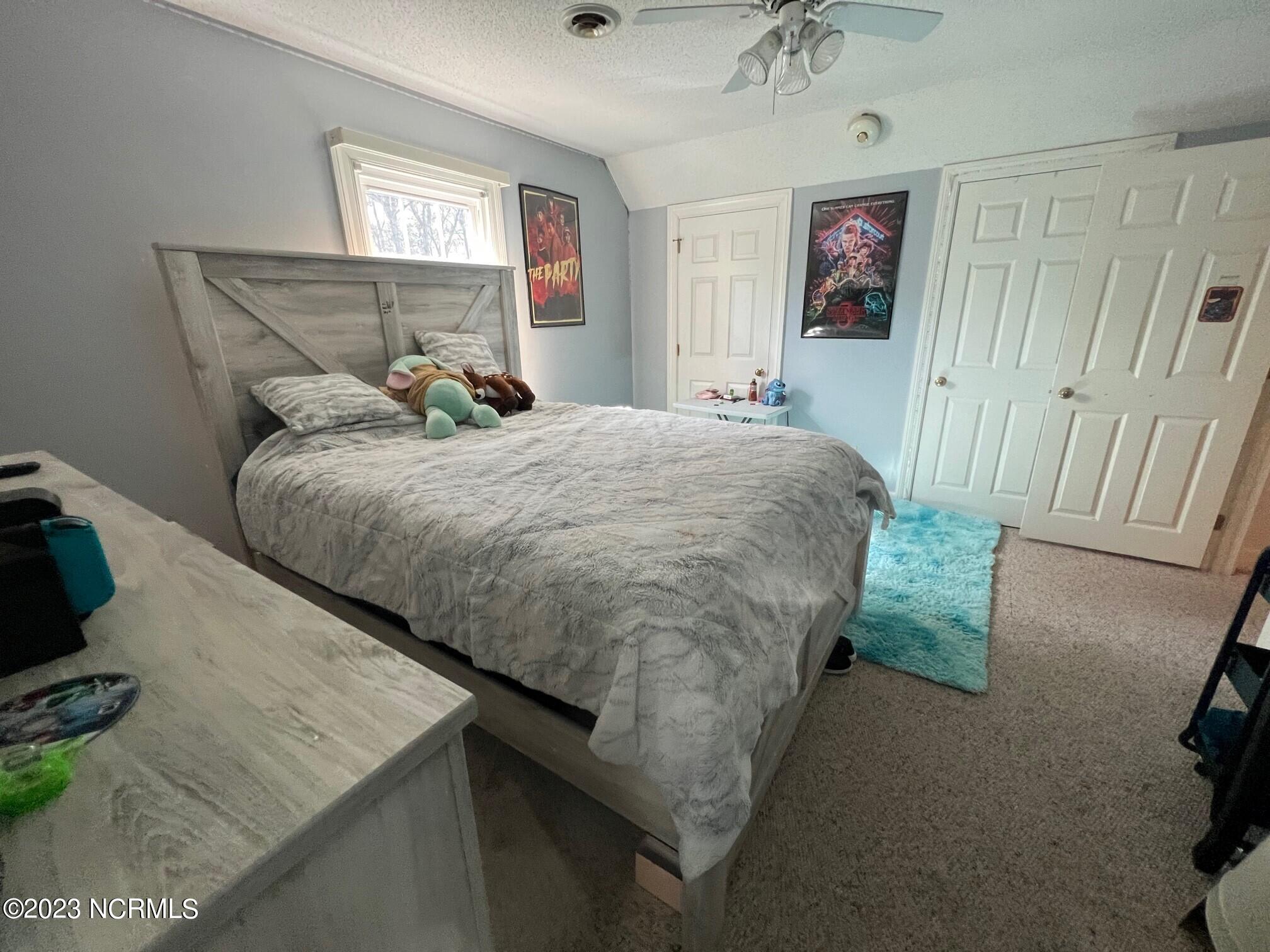 604 Shiloh Road Tarboro, NC 27886 - Photo 33 of 36 604 Shiloh-upstairs bedroom4