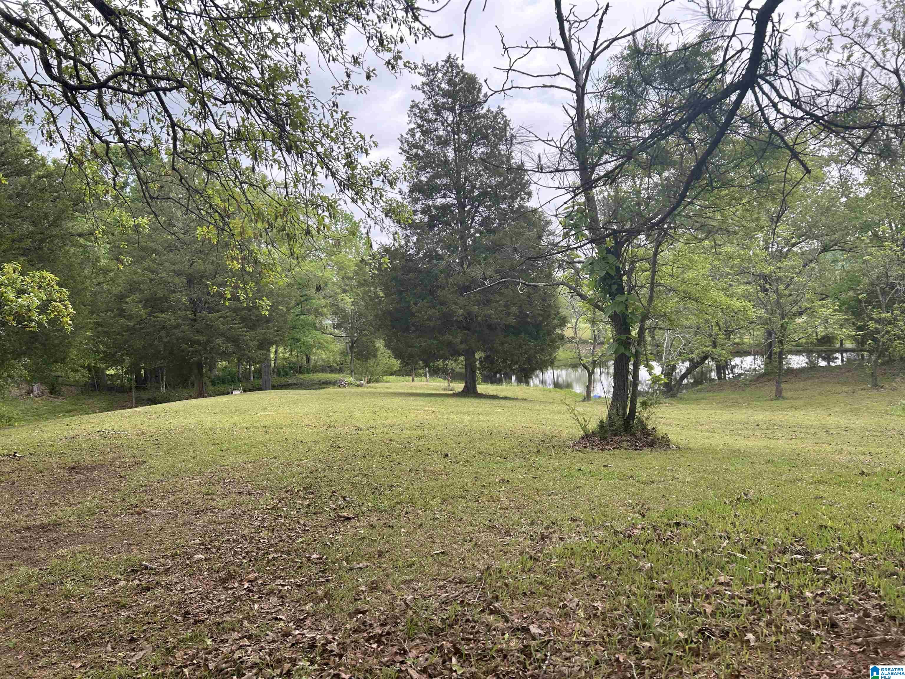 625 Dee Hendrix Road, Unit 6 9 ACRES Bessemer, AL 35023 - Photo 3 of 14