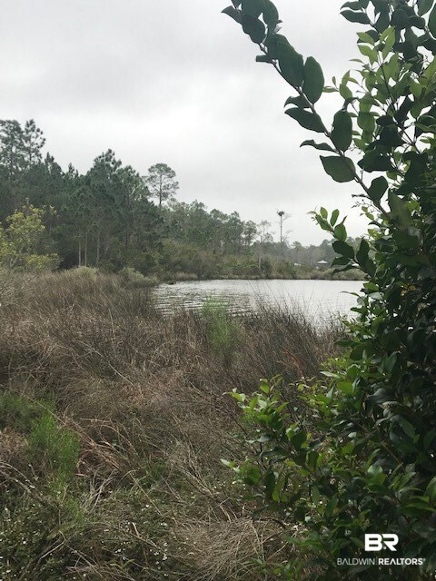 1 Bella Lane Foley, AL 36535 - Photo 3 of 6 View over wetlands