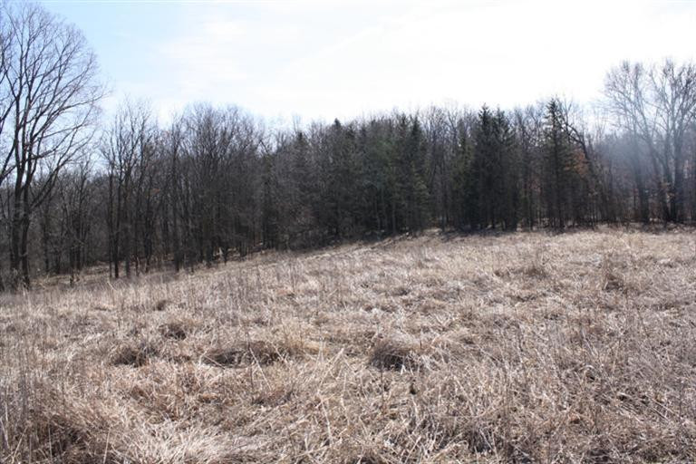 0 Coonhill Road Munith, MI 49259 - Photo 8 of 11 Photo 8