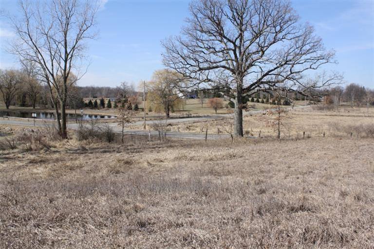0 Coonhill Road Munith, MI 49259 - Photo 9 of 11 Photo 9