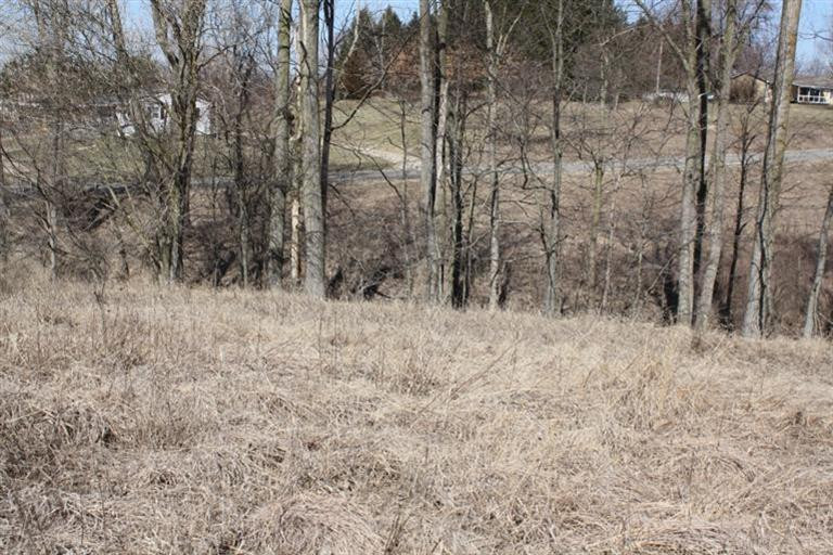 0 Coonhill Road Munith, MI 49259 - Photo 10 of 11 Photo 10