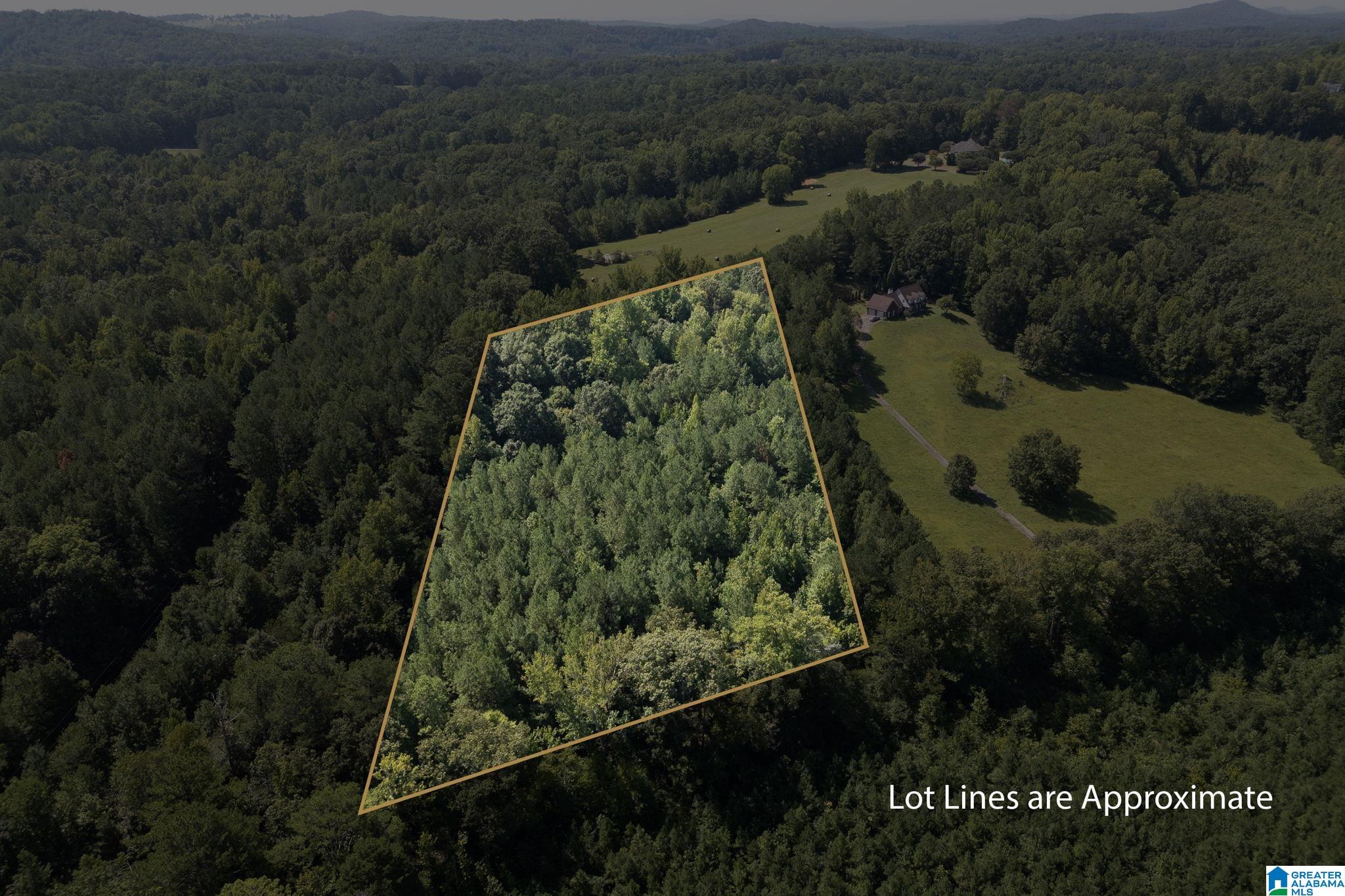 9111 Cedar Mountain Road, Unit 9111 Pinson, AL 35126 - Photo 8 of 24
