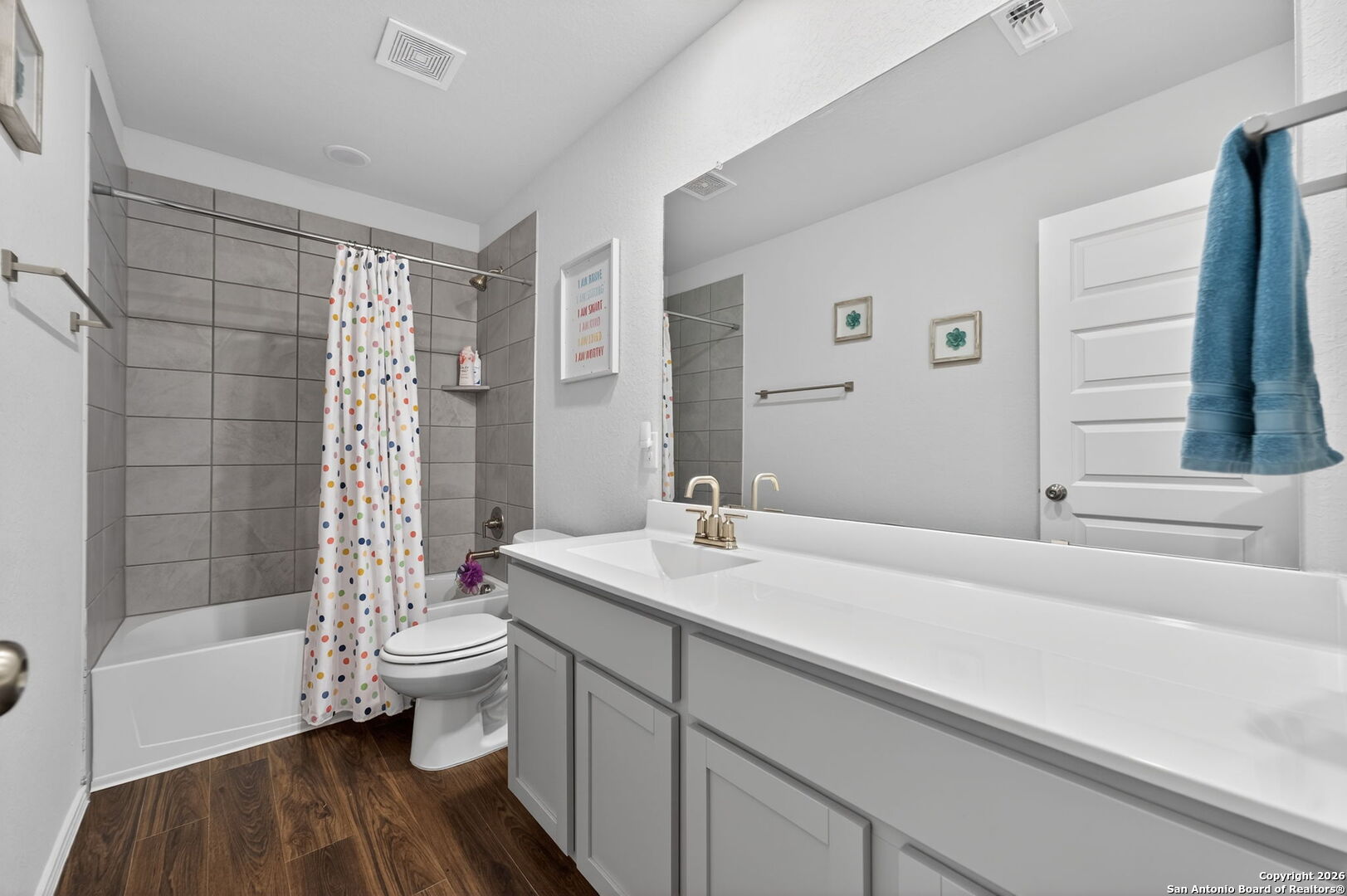 132 Bella Rosa Trail Cibolo, TX 78108 - Photo 43 of 49 a bathroom with a sink a toilet and shower