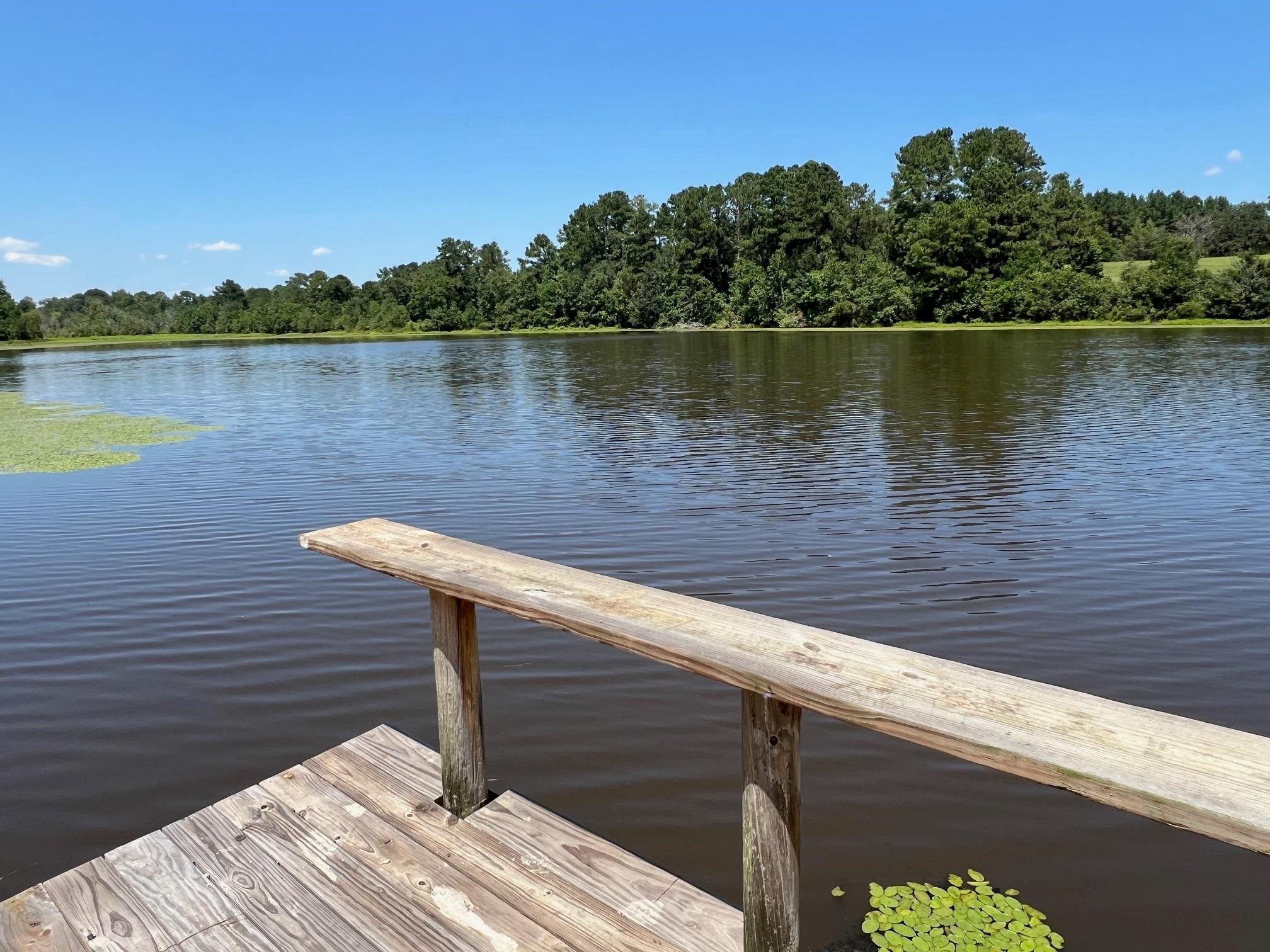 19026 Leon Wiggins Road Andalusia, AL 36420 - Photo 39 of 44 Gallery Image 39