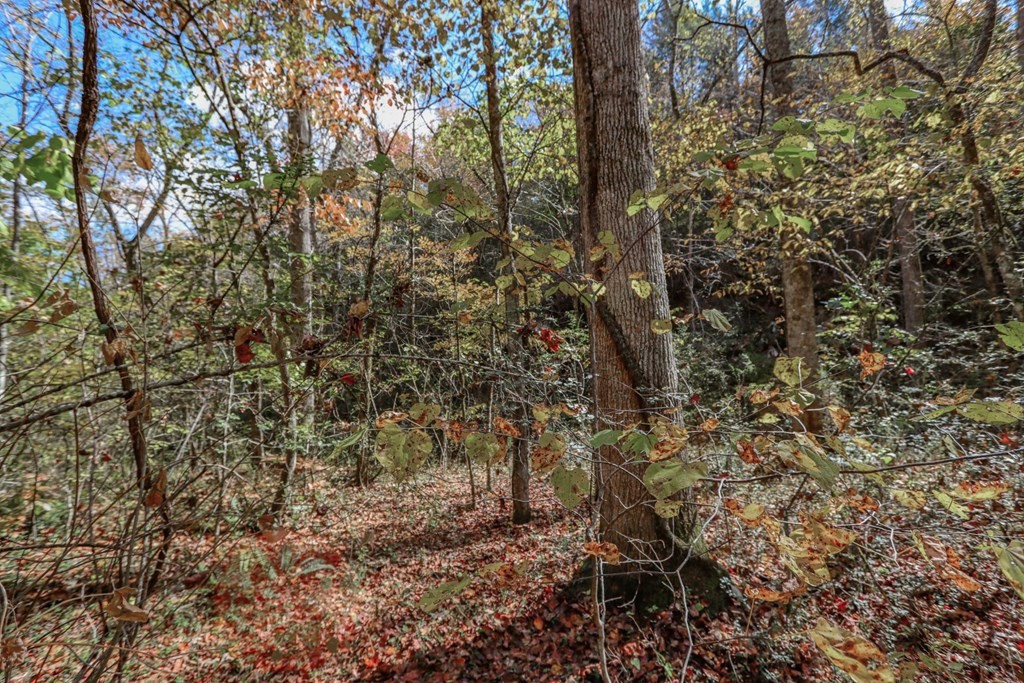 3 Fancher Road Newport, TN 37821 - Photo 12 of 27 Gallery Image 12