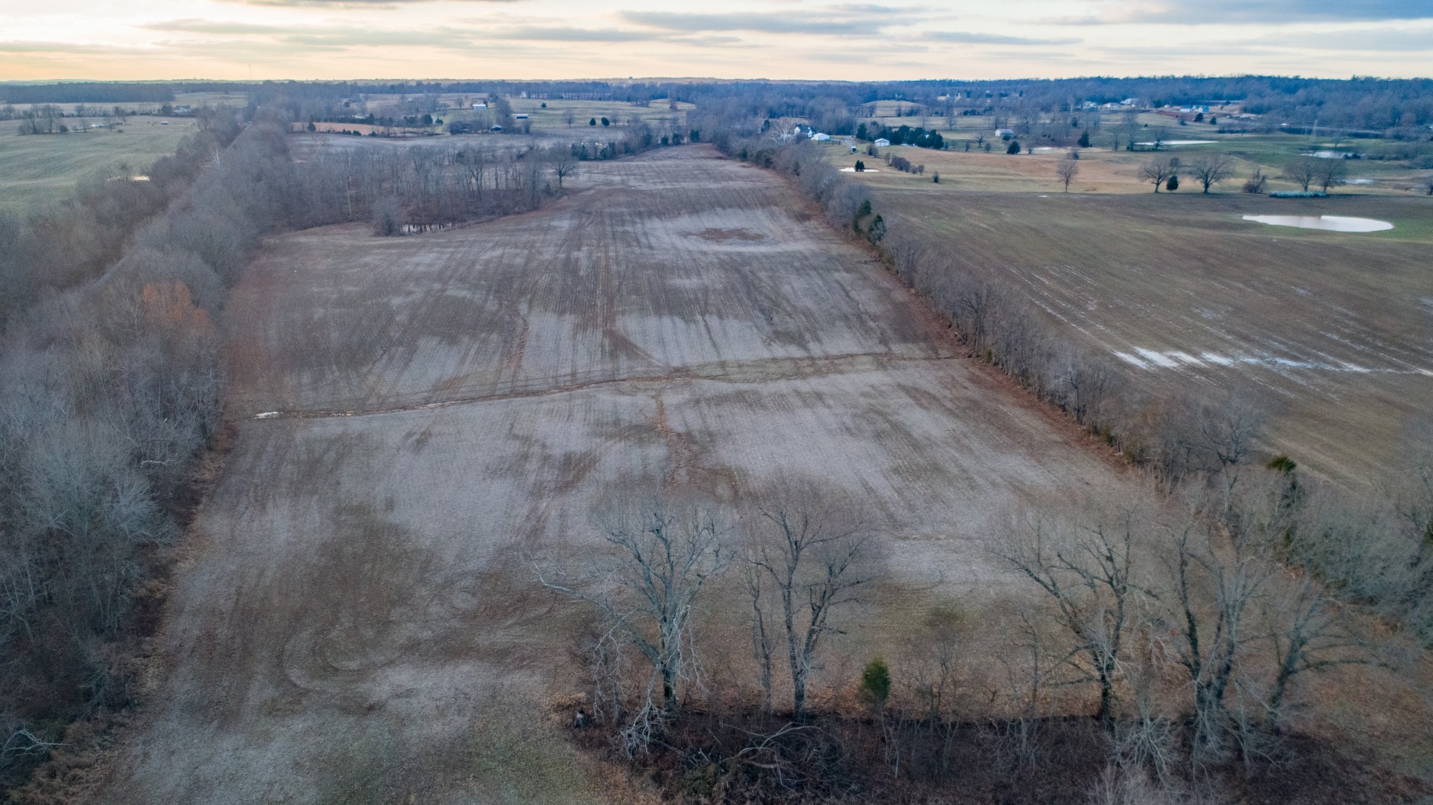 501 Scott Cemetery Road Princeton, KY 42445 - Photo 8 of 9 Gallery Image 8