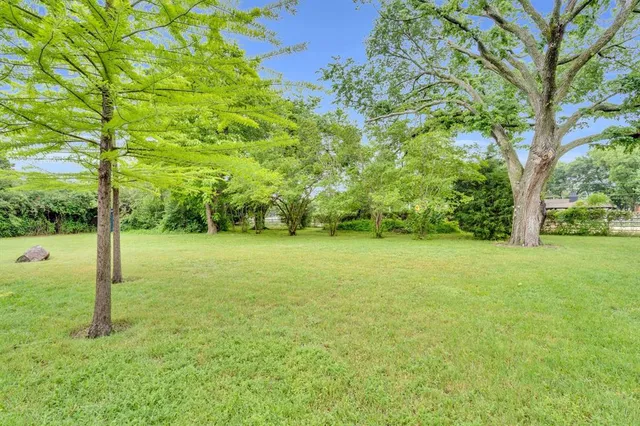 a view of a field with a tree