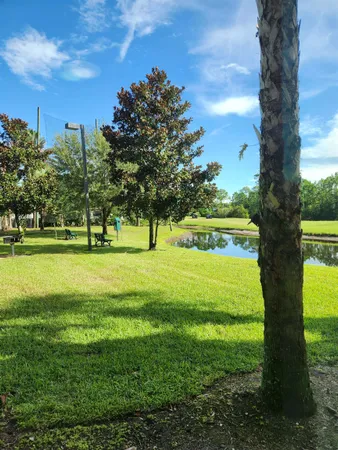 a view of a big yard with a fountain and large trees