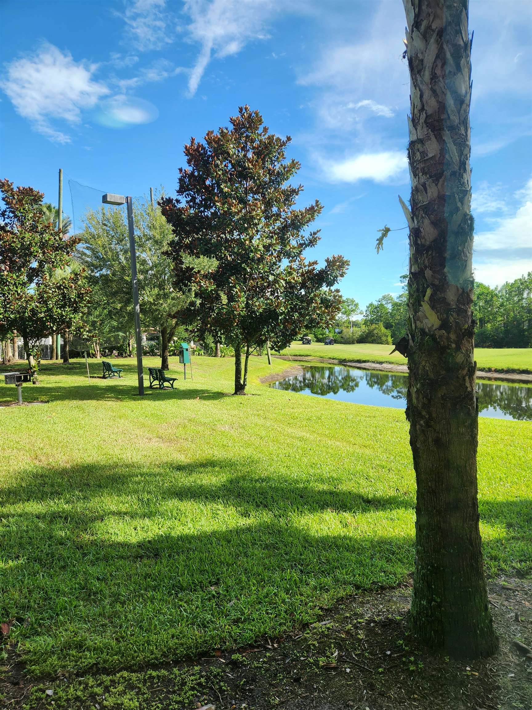 510 Florida Club Boulevard, Unit 101 St. Augustine, FL 32084 - Photo 33 of 37 a view of a big yard with a fountain and large trees