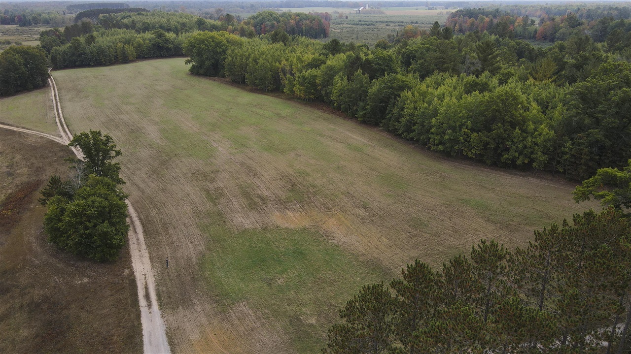 11048 Wilson Road Lake City, MI 49651 - Photo 26 of 89 Gallery Image 26