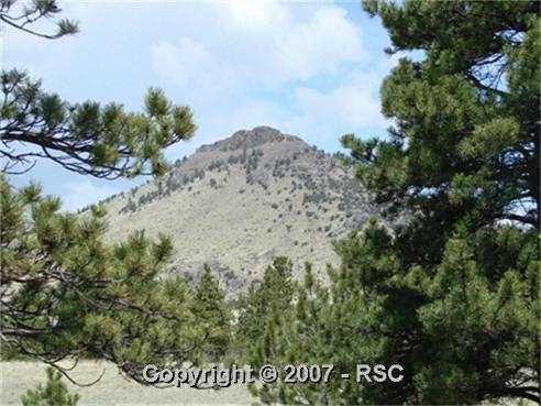 10856 Witcher Mountain Road Guffey, CO 80820 - Photo 14 of 14