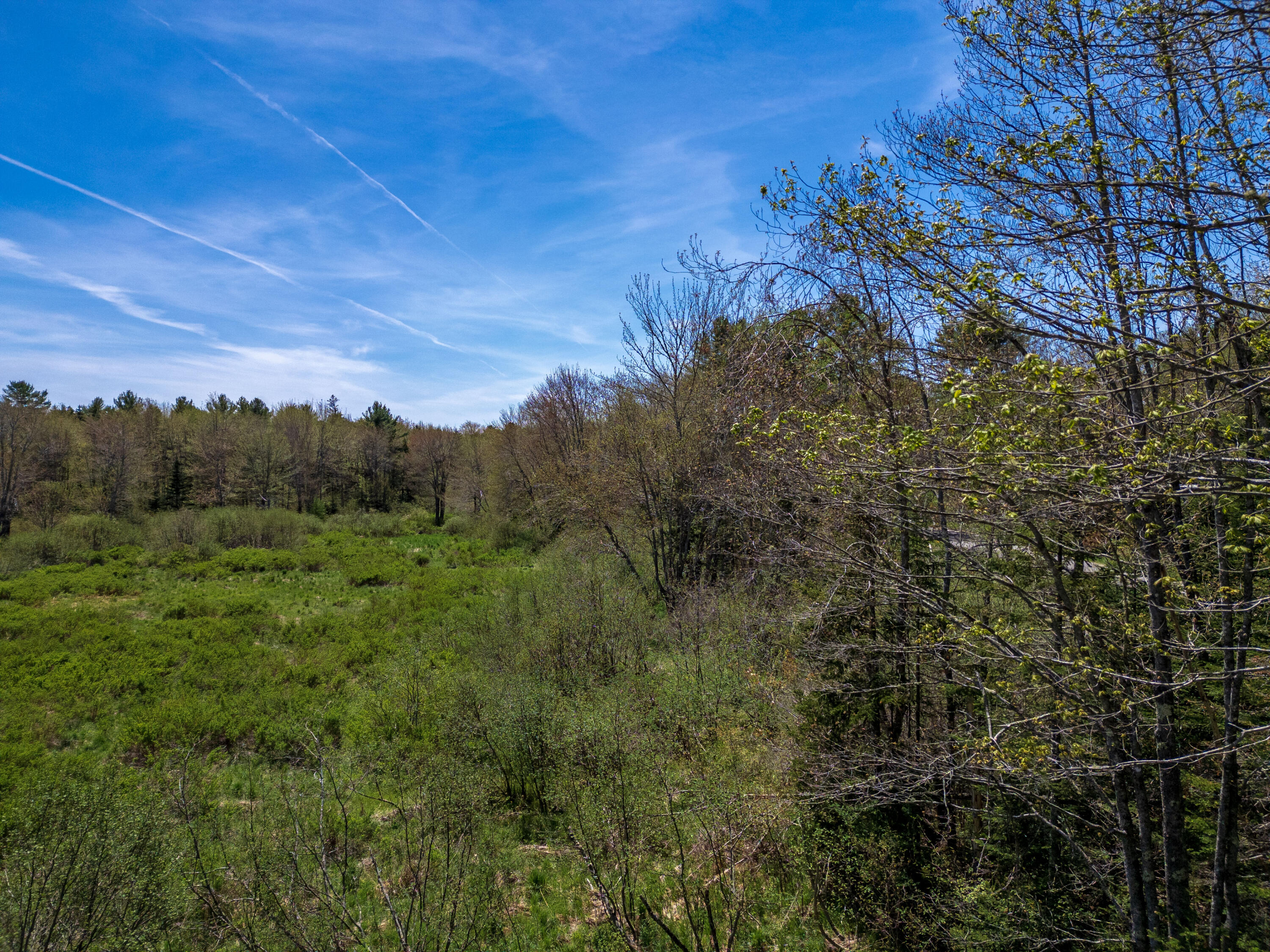 689 Finntown Road Waldoboro, ME 04572 - Photo 21 of 29 Stream Area/Woods