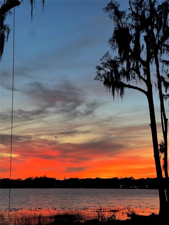 17924 Simms Road Odessa, FL 33556 - Photo 16 of 31