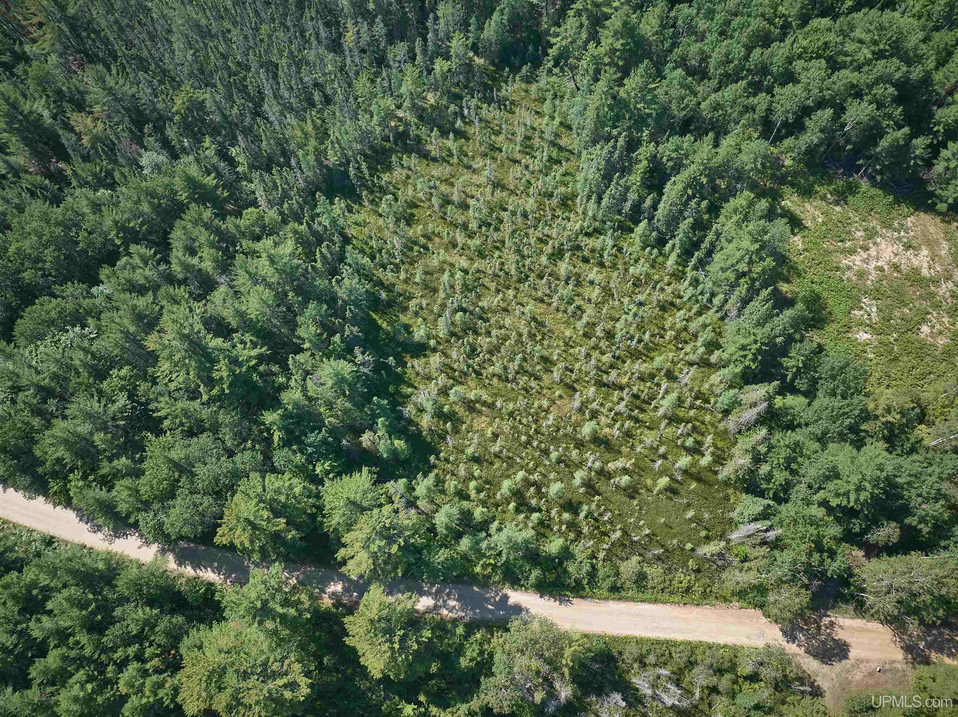 7806 Doe Lake Road Munising, MI 49862 - Photo 11 of 26