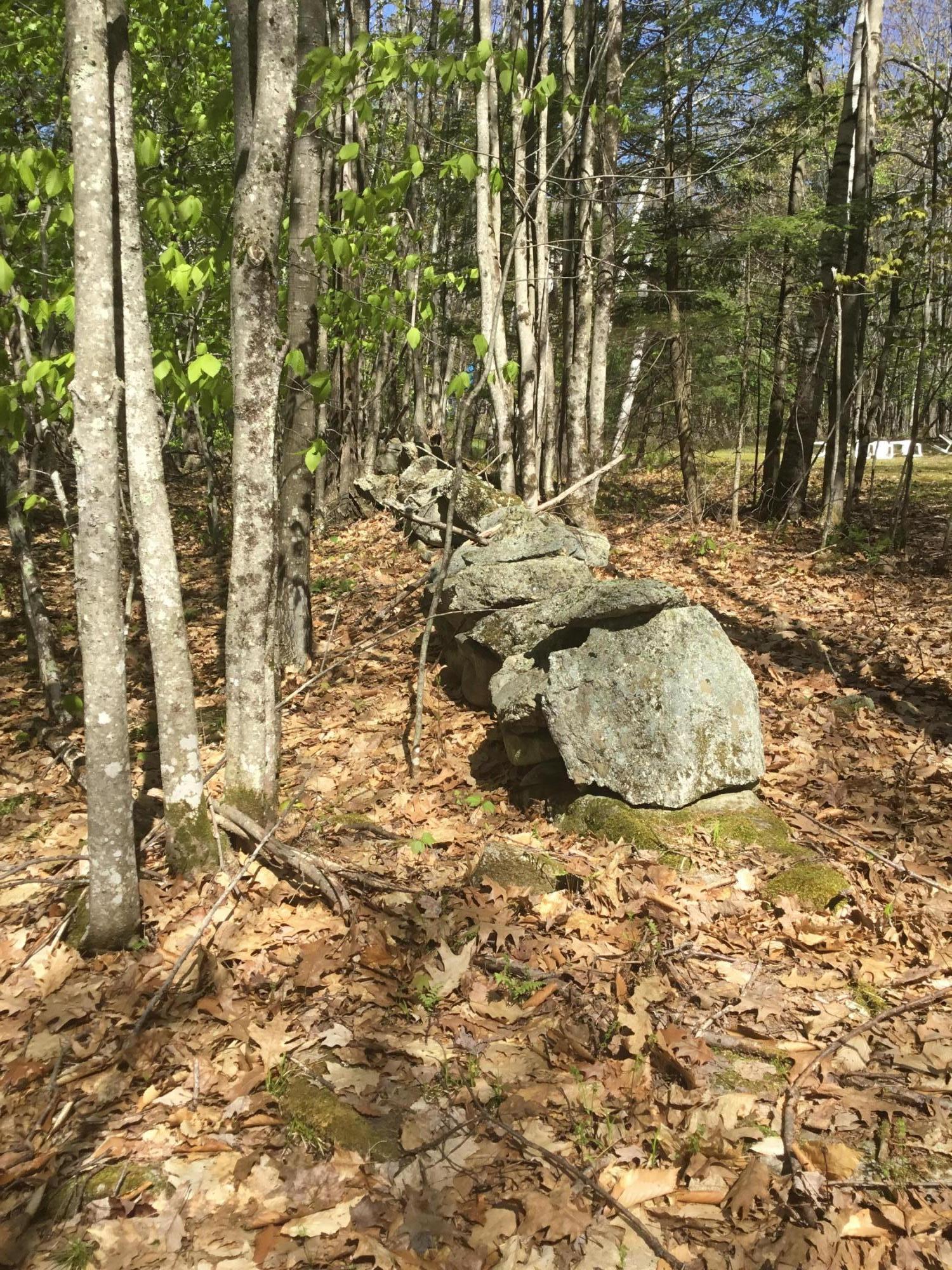 103 Hodsdon Road Pownal, ME 04069 - Photo 8 of 11 IMG_1978