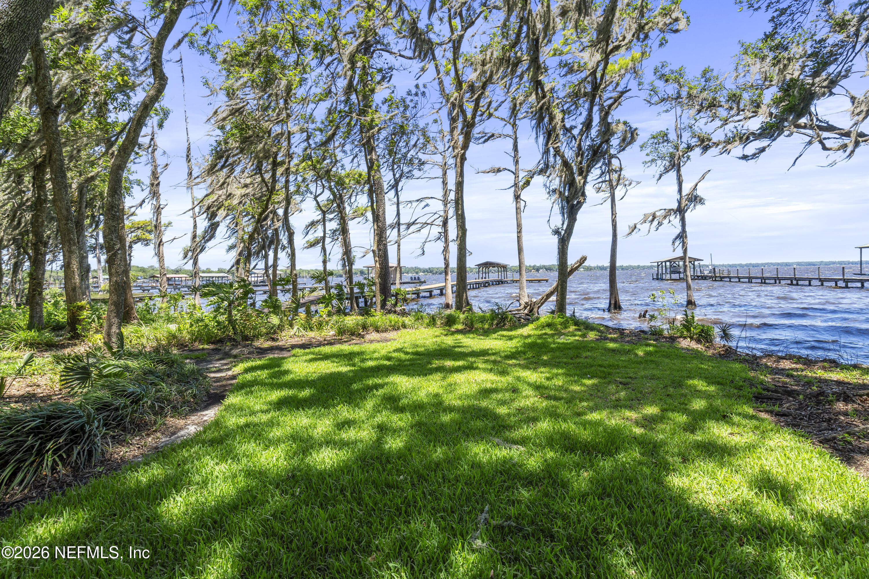 3154 Nautilus Road Middleburg, FL 32068 - Photo 50 of 61 Backyard