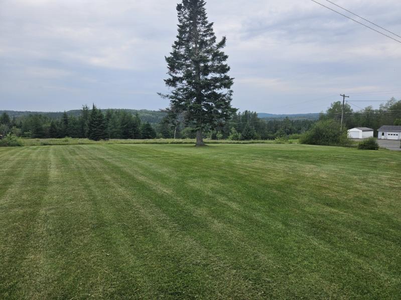 1755 Van Buren Road Caribou, ME 04736 - Photo 12 of 50 Dube 41