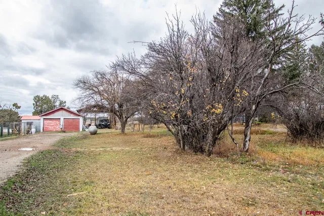 a view of a yard with a tree