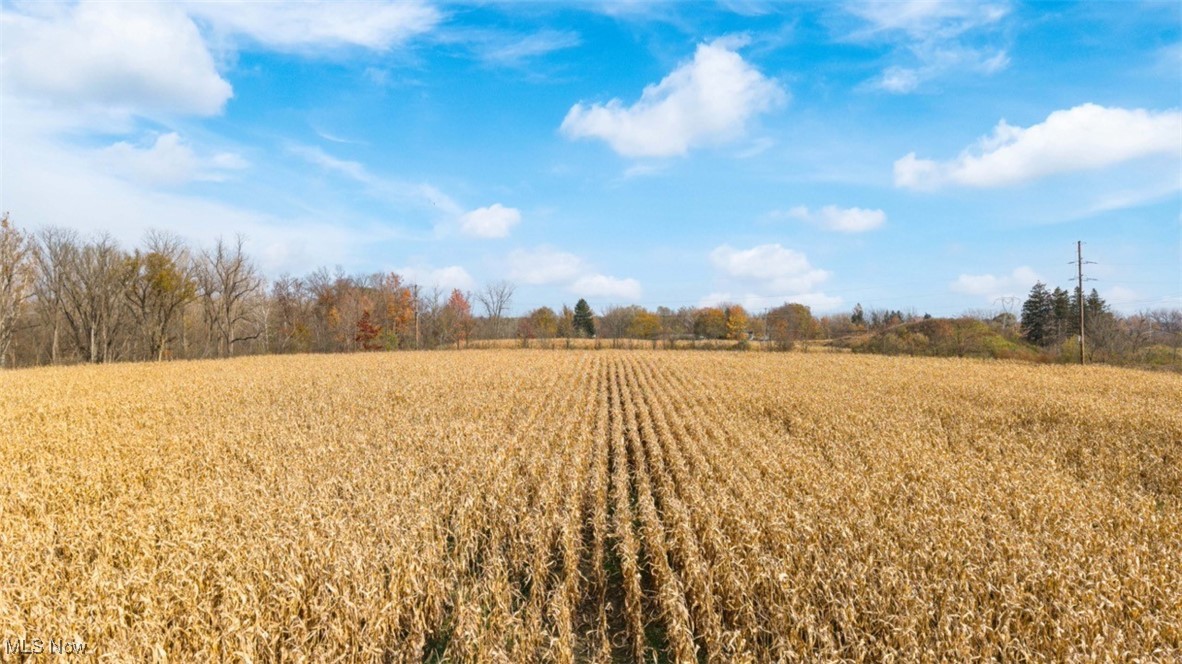 3652 Pearl Road Medina, OH 44256 - Photo 23 of 38 View of nature featuring a rural view