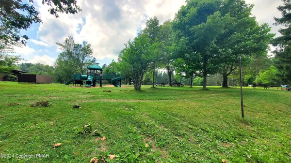 a view of a trees in a park