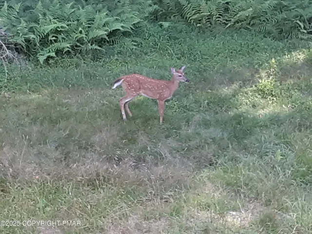 a backyard of a house with a yard and outdoor seating