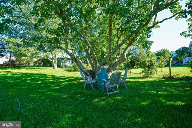 a garden view with a seating space