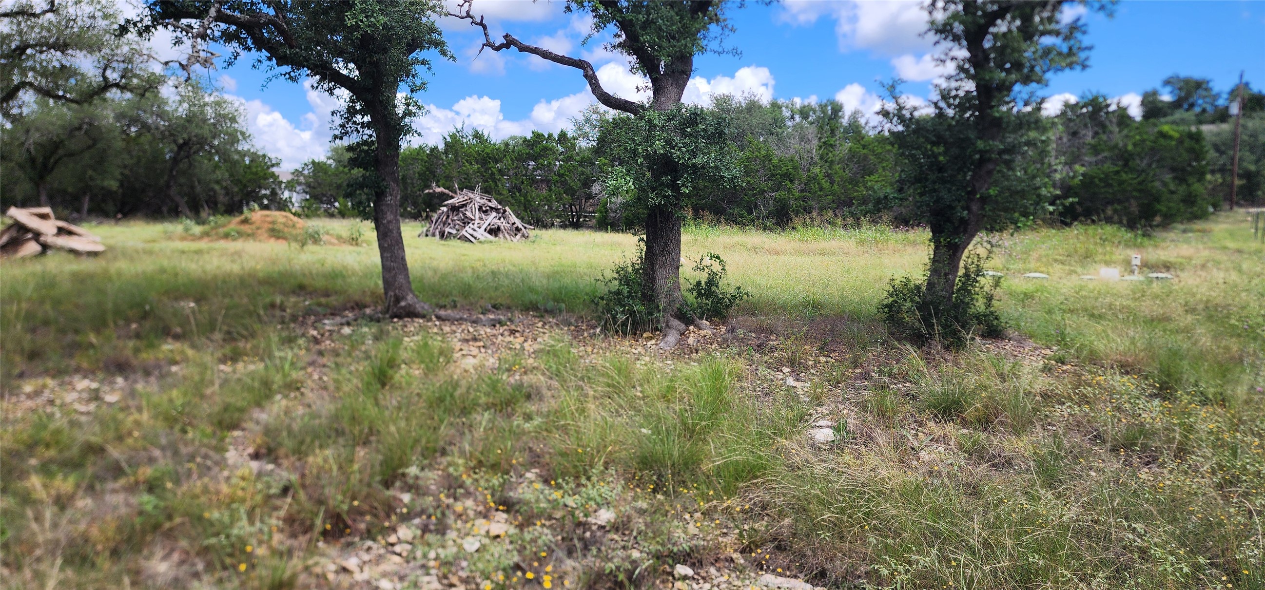 Mature trees and native grasses blanket this generous, ready-to-build lot.